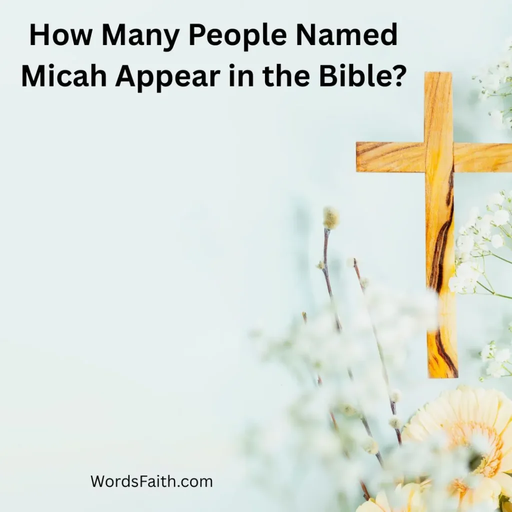 How Many People Named Micah Appear in the Bible?
