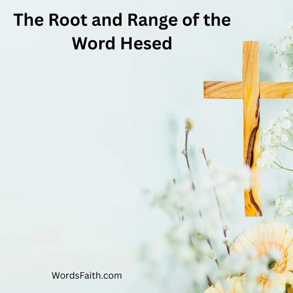 The Root and Range of the Word Hesed