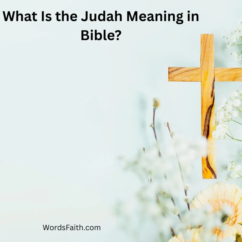 What Is the Judah Meaning in Bible?