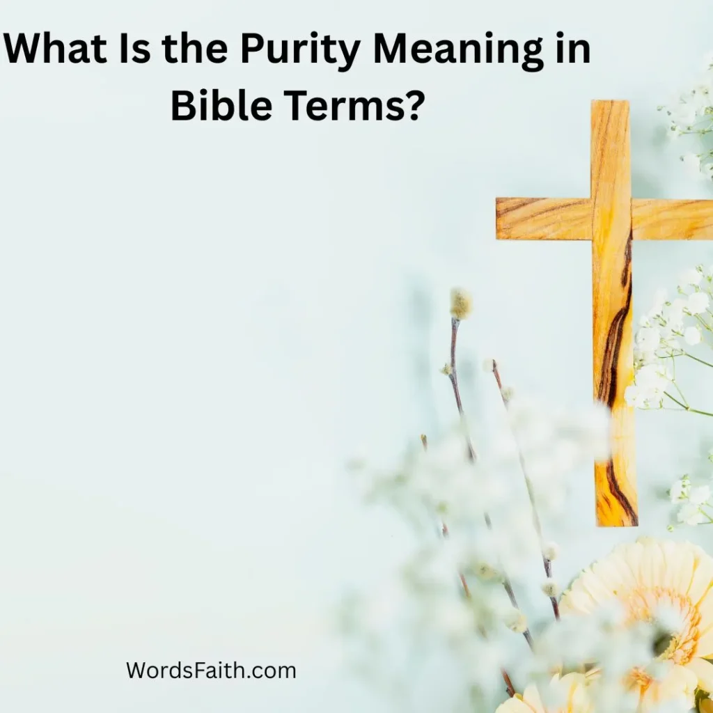 What Is the Purity Meaning in Bible Terms?