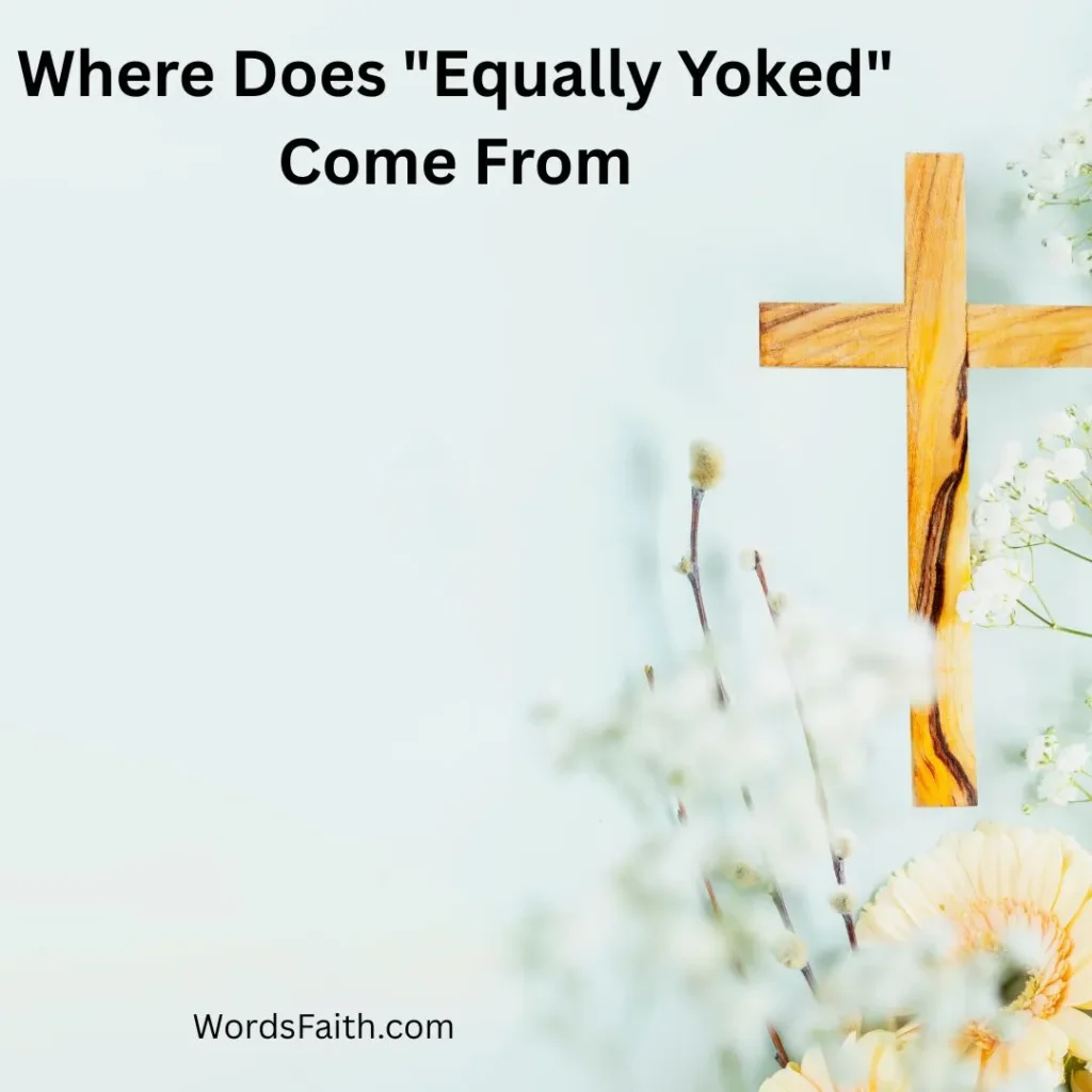 Where Does "Equally Yoked" Come From