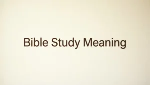 bible-study-meaning