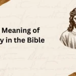 The Meaning of Vanity in the Bible